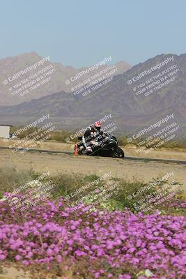 media/Feb-04-2023-SoCal Trackdays (Sat) [[8a776bf2c3]]/Turn 15 Inside Blooming (1050am)/